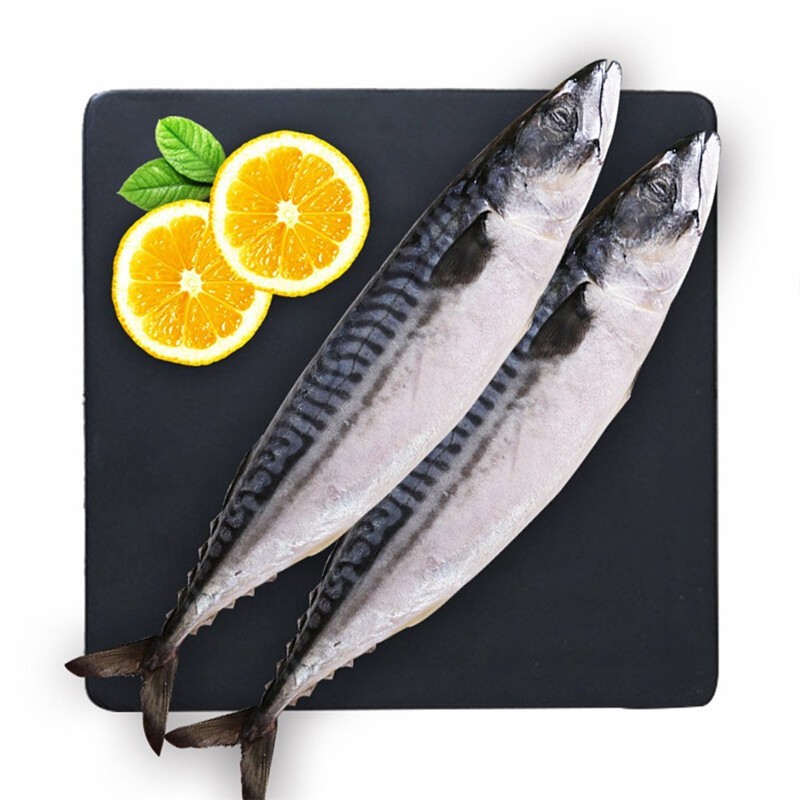 博多客鲐鲅鱼新鲜鲐鱼海鲜水产冷冻小鲅鱼非青花鱼青占鱼15kg3斤