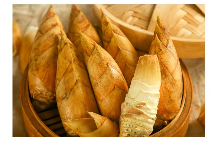 新鲜冬笋新鲜竹笋农产品现挖现卖鲜笋雷笋去老根黄泥拱冬笋新鲜精品