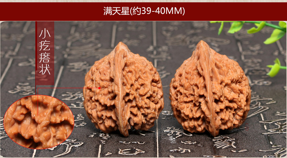 bc8d9cd459c511a8.jpg