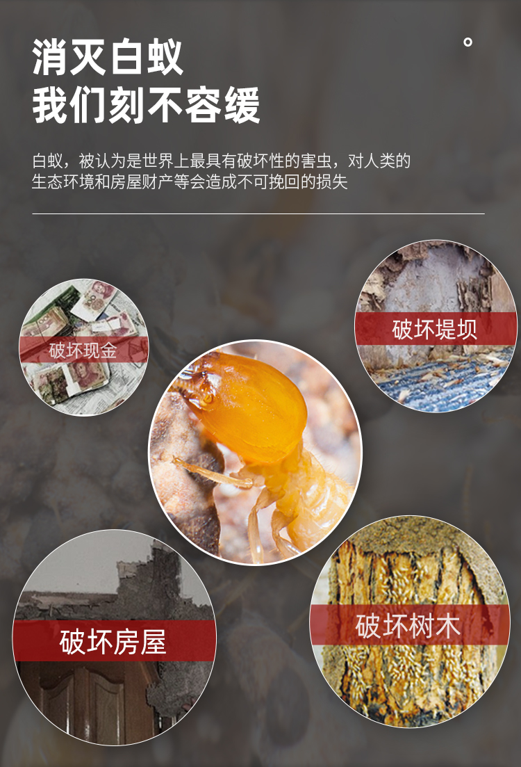 德国拜耳白蚁药白蚁药德国拜耳特密得防治杀灭白蚁粉饵剂杀虫剂窝端