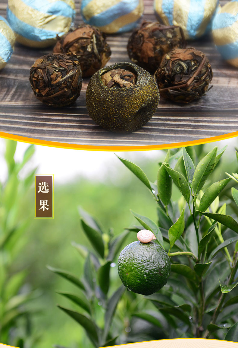 柑柑好白茶福鼎寿眉老白茶新会小青柑白茶陈皮白茶