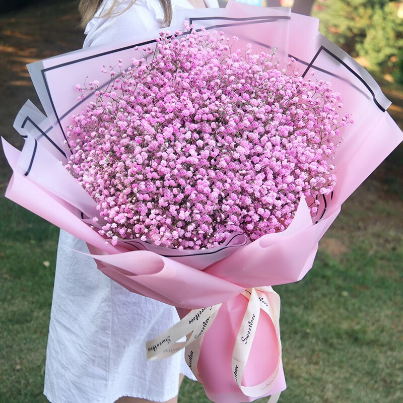 粉色满天星花束——小时代