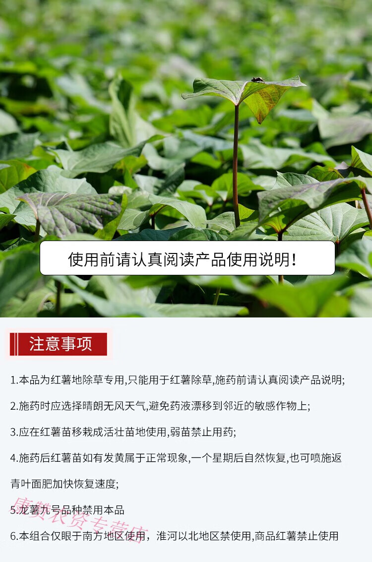 适用于红薯地苗后专用除草剂烂根氯吡嘧磺隆薯田农药禾阔莎香附子杀