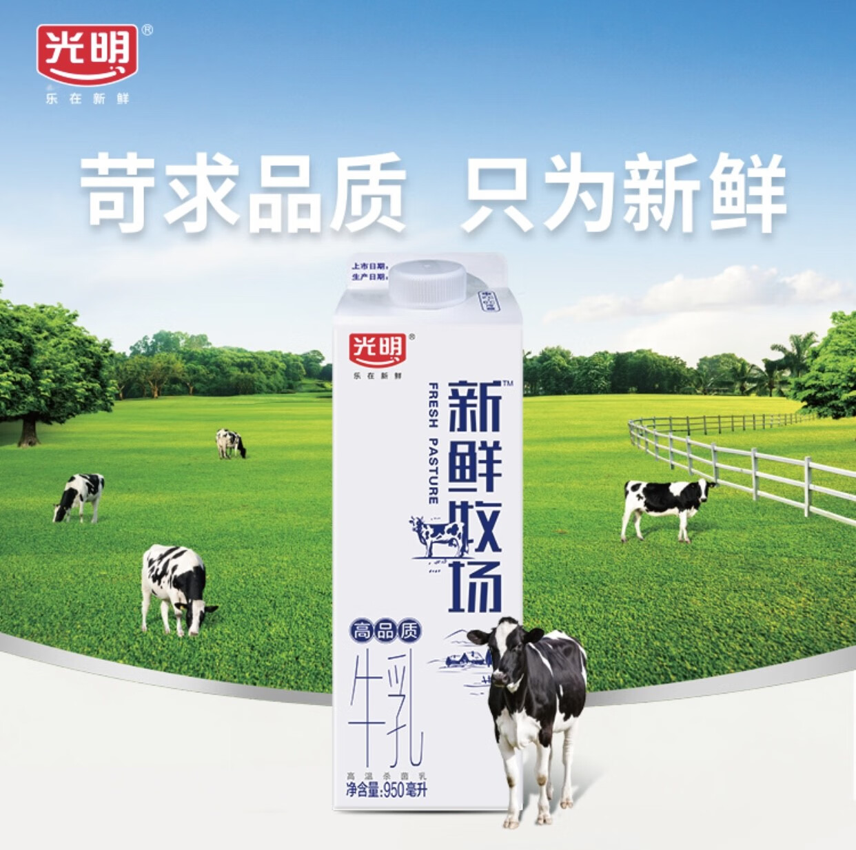 新鲜牧场鲜牛奶牛乳低温鲜奶餐饮用咖啡奶茶饮料原料950ml 保质期15天