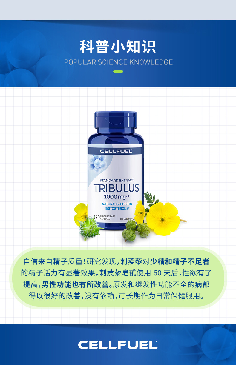 补睾丸美国睾丸酮促素雄性补充刺蒺藜 刺蒺藜【图片 价格 品牌 报价】