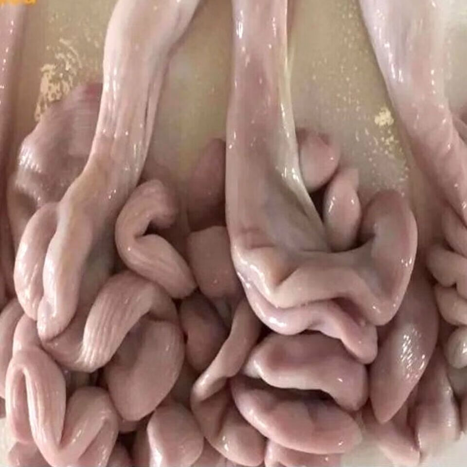 新鲜猪花肠脆肠猪房子猪子宫猪胎盘猪下水批发全套 【9成熟】猪花肠4