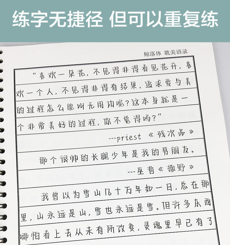 艾怡诗鲸落体字帖耽美原耽小说励志经典语录男女学生硬笔临摹 鲸落体