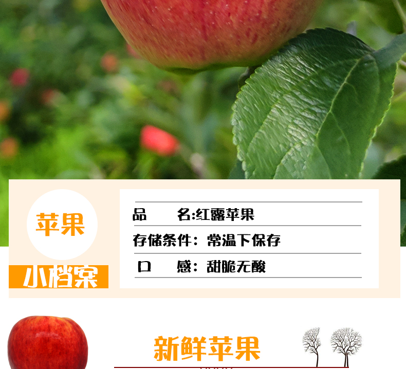 【当年新果】红露苹果应当季新鲜水果云南昭通高原苹果红富士嘎啦2022