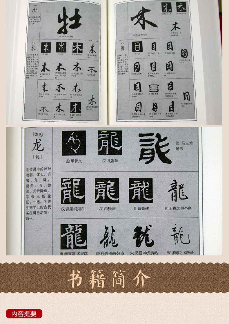 《中国书法大字典 甲骨文金文 书法爱好者 大篆小篆 隶书章草 今草