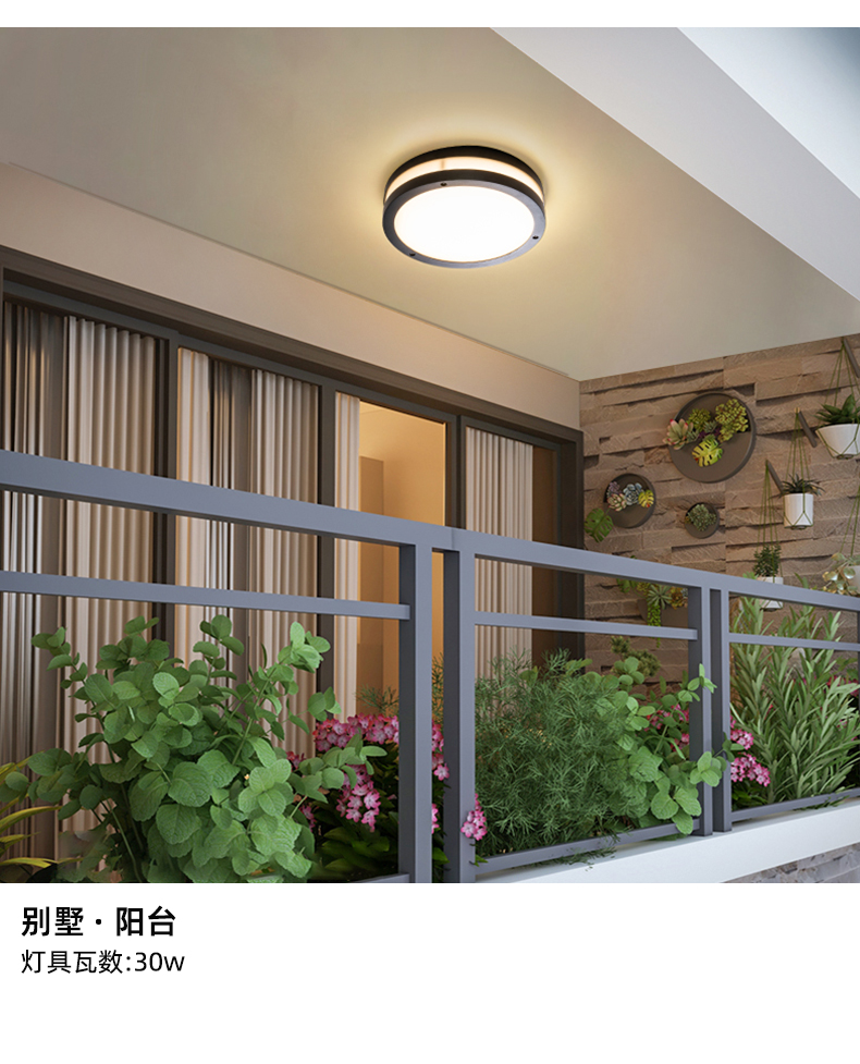 别墅大门口灯户外吸顶灯自建房大门口顶灯大门上的门灯led防水现代