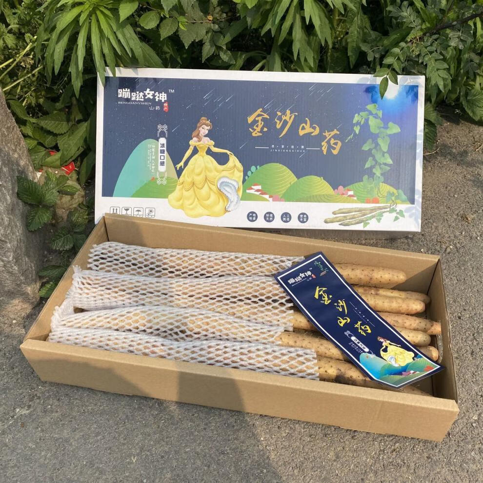 媚调金沙山药 山东潍坊特产 蹦跶女神 甘甜 冰糖口感 白芋 铁棍山药 5