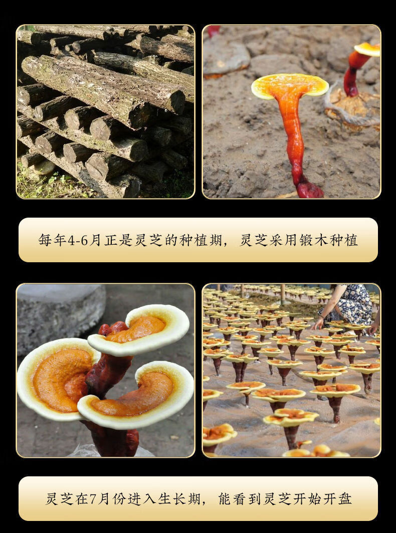 20c30a56980cc4de.jpg