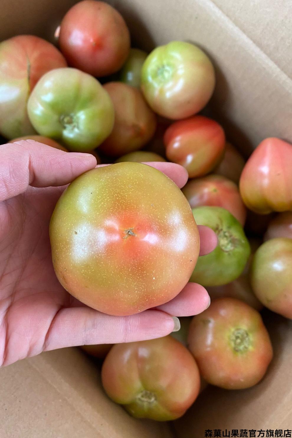 森菓山jd快递欢坨西红柿现摘沙瓤新鲜番茄自然成熟2500g