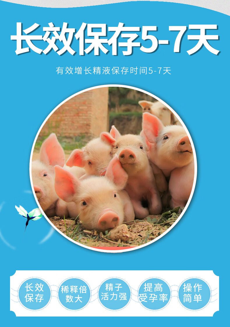 用什么稀释猪精