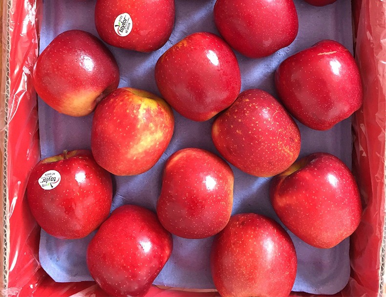 新西兰姬娜苹果12个嘎啦果佳丽果红富士时令进口新鲜水果12个普通装