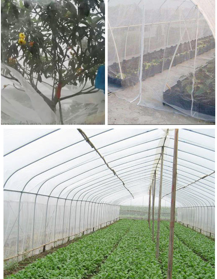防虫网大棚防虫网农用养殖网蔬菜网蝗虫果树果园网防鸟网尼龙网加密