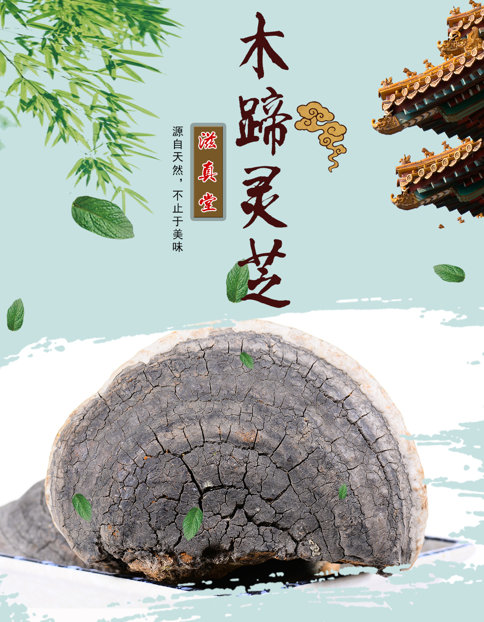 滋真堂裂蹄灵芝木蹄灵芝长白山林下木蹄灵芝可切片裂蹄灵芝250g