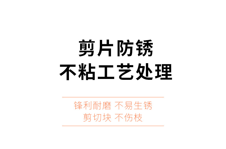 27d920f53fa3c072.jpg