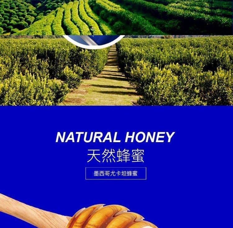 小蓝罐苏打水 气泡柠檬茶 饮料2021网红饮品气泡水风味饮料整箱 6罐装