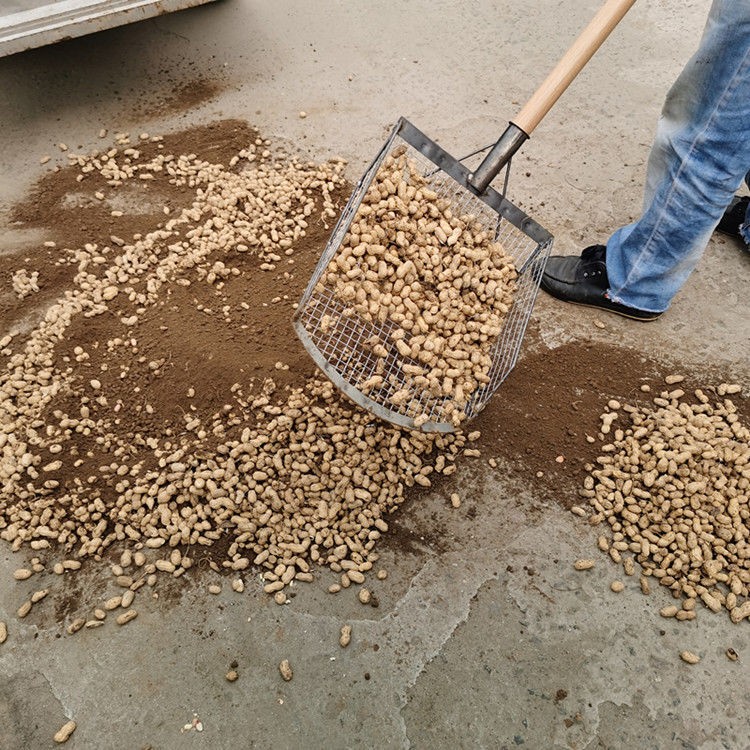 花生筛土神器新款加固人工过滤玉米叉子板栗铁锹网眼铲子漏土筛子圆头