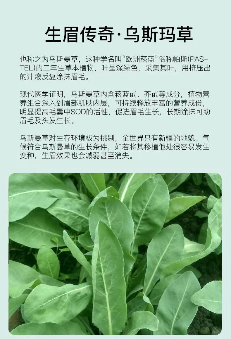 生发棒乌斯玛草生眉棒奥斯曼草棒生眉笔生眉液睫毛增长液新疆乌斯曼 1