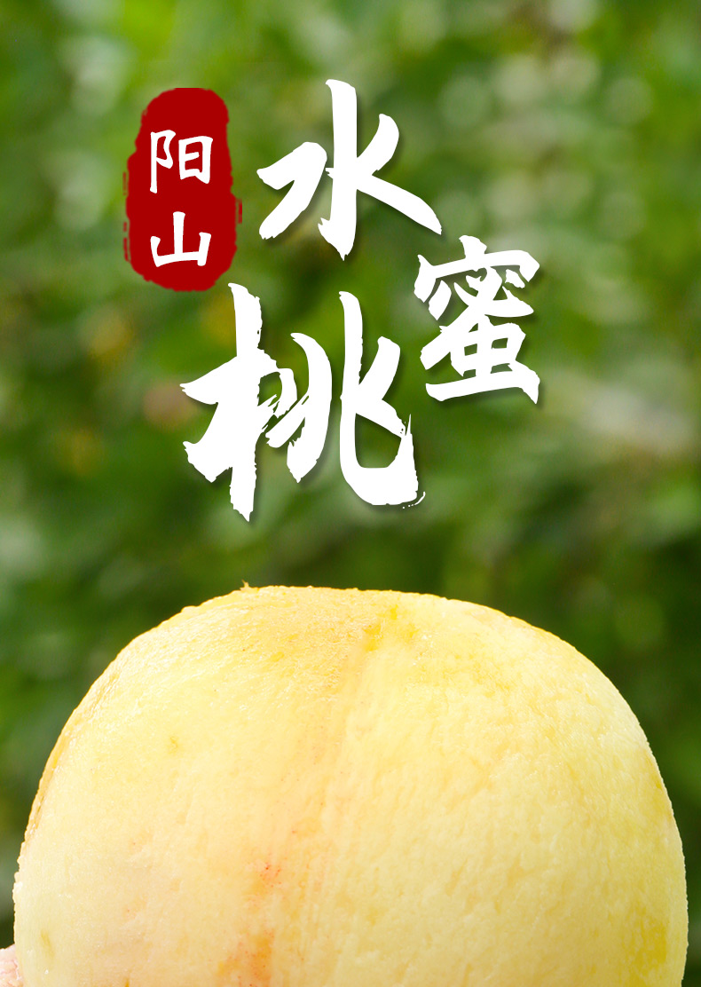 应当高端阳山特产 新鲜甜爆汁蜜露软桃现摘无锡湖景桃子白凤季时令