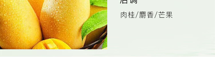 爱马仕（HERMES） 大地香水木质淡香水持久清新EDT 男士香水送男朋友生日礼物 大地男士香水套装EDT50ml*2