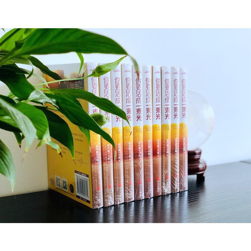 你要活成一束光李月亮北辰愿你的生活既有软肋又有盔甲治愈书以所选