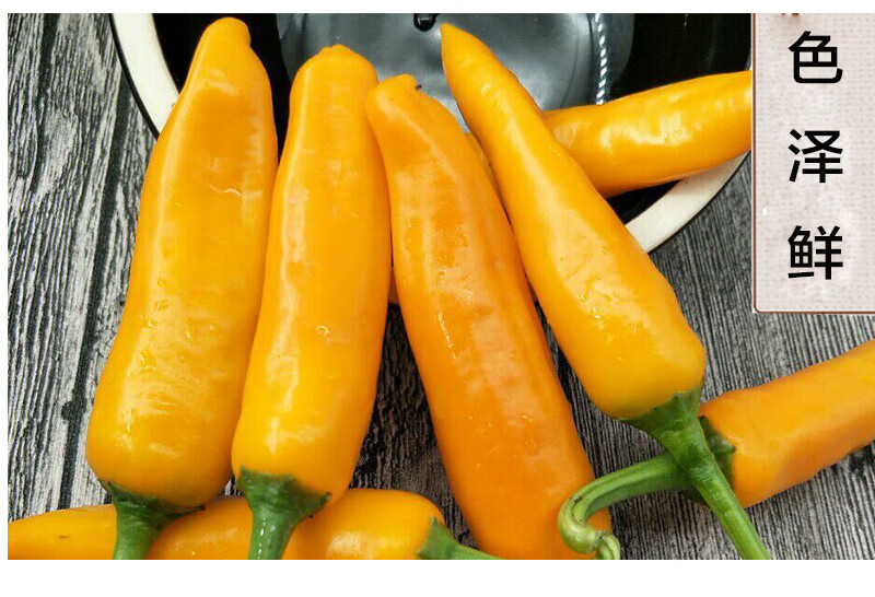 福建永安小黄椒 新鲜黄辣椒 农家魔鬼泡椒小尖椒 1斤(魔鬼椒)【图片