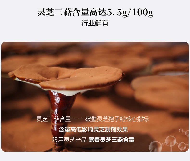 池润破壁灵芝孢子粉长白山林芝增强免疫力富含孢子油10g90袋盒