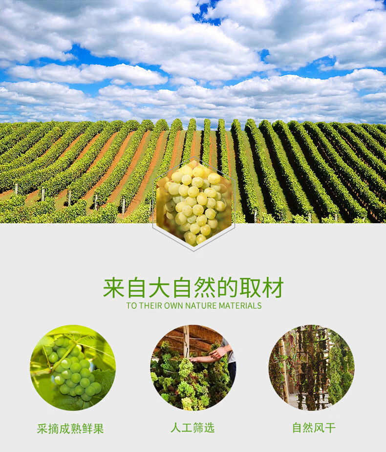 106142-贝鼠果果新疆特产吐鲁番精品葡萄干散装袋装大颗粒新货批发 精品葡萄干 500g*1袋-详情图