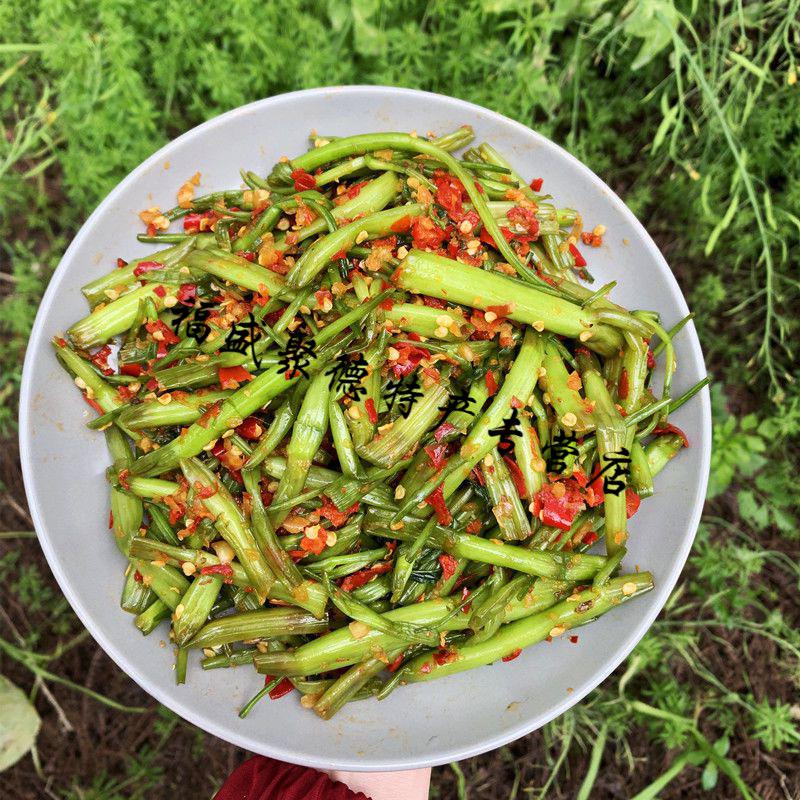 江西辣菜貢菜香辣空心菜梗農家醃製菜梗辣椒醬蔬菜香辣下飯菜鹹菜湖南