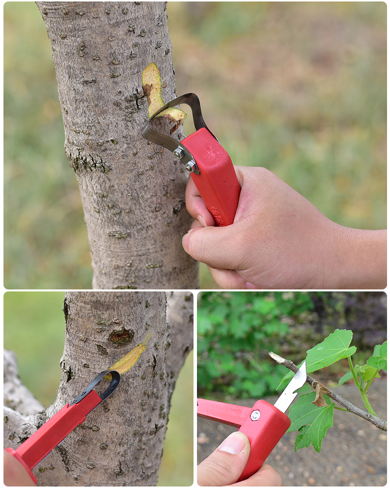 双刀头嫁接果树树皮刮皮刀 枝条环割刀 树木环剥刀 环枝条剪刀 木柄刮