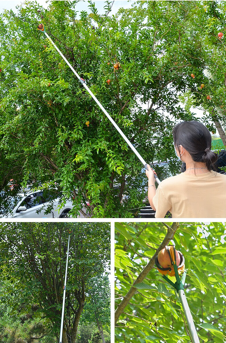 摘苹果工具摘果神器伸缩杆高空爪水果果子桃三抓采摘桃子梨摘果器