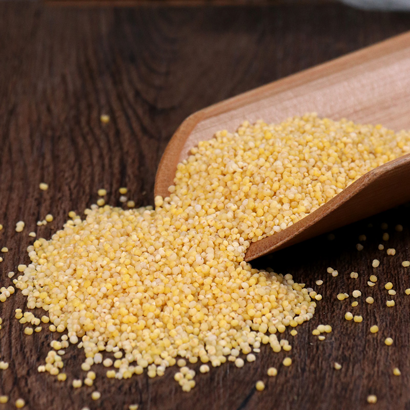 中药材正宗北秫米 糯小米 黄糯新货500克【图片 价格 品牌 报价】