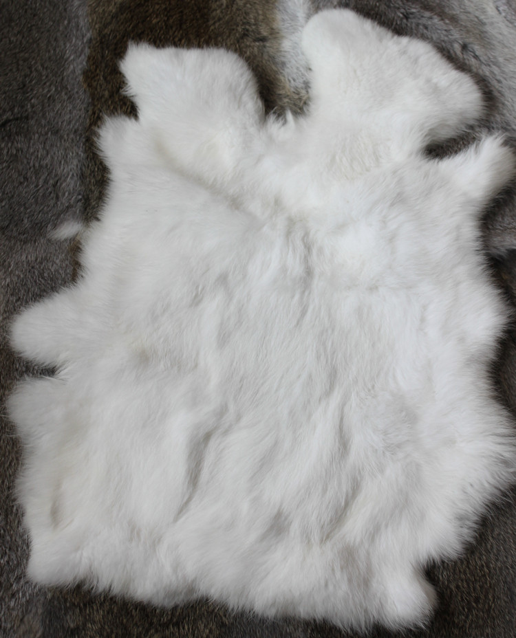 兔皮整张兔皮护膝白色兔皮整张原料家兔皮獭兔毛皮