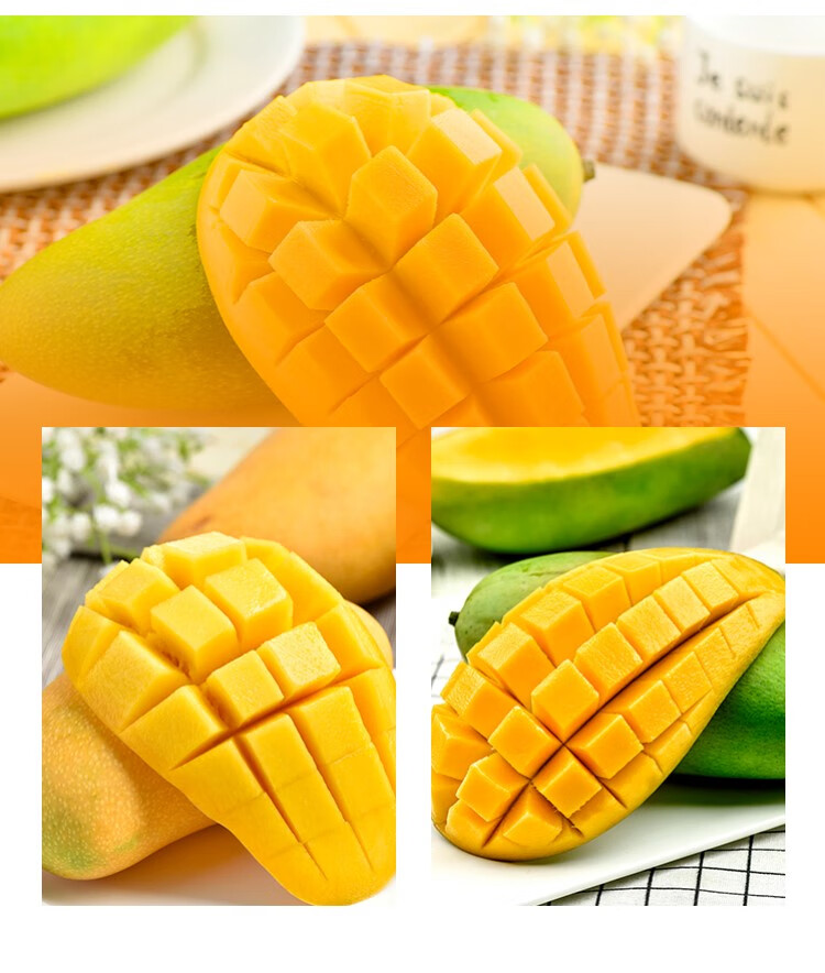 媚调 凯特王妃新鲜芒果4-6个整箱礼盒自然熟当季应季时令水果 5斤
