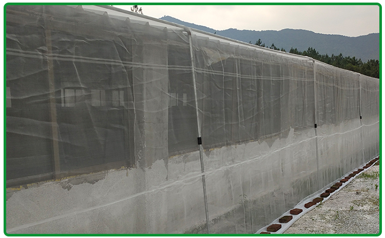 防虫网窗纱网养猪场防蚊网菜园大棚果树园加厚加密防蚊子专用定制80目