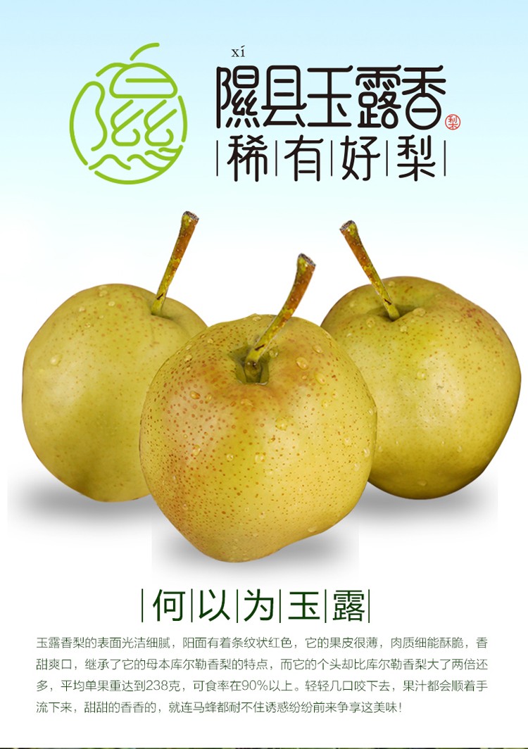 乡宁馆山西隰县玉露香梨玉露香梨山西梨新鲜水果精品礼盒装12颗精品