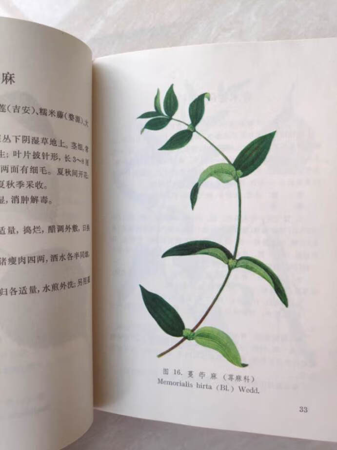 正版8成新现货江西草药32开彩图版9成品相中草药手册收藏原