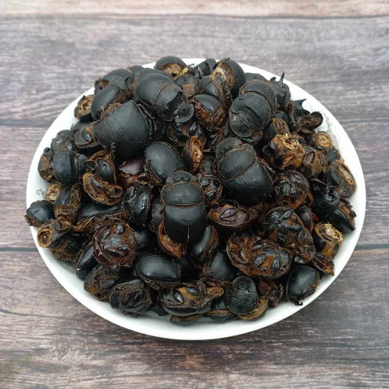 伟博中药材大将军 清水屎壳郎 蜣螂虫 推粪虫 黑兜虫 100g 500克