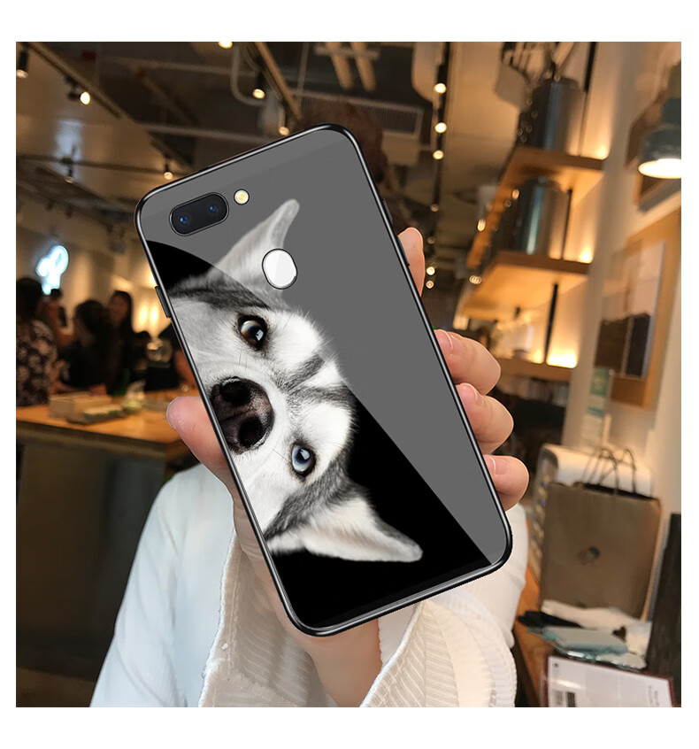 磨砂钢化玻璃镜面手机壳r15xk1r17p r11s 咪眼二哈(t161)【送钢化膜】