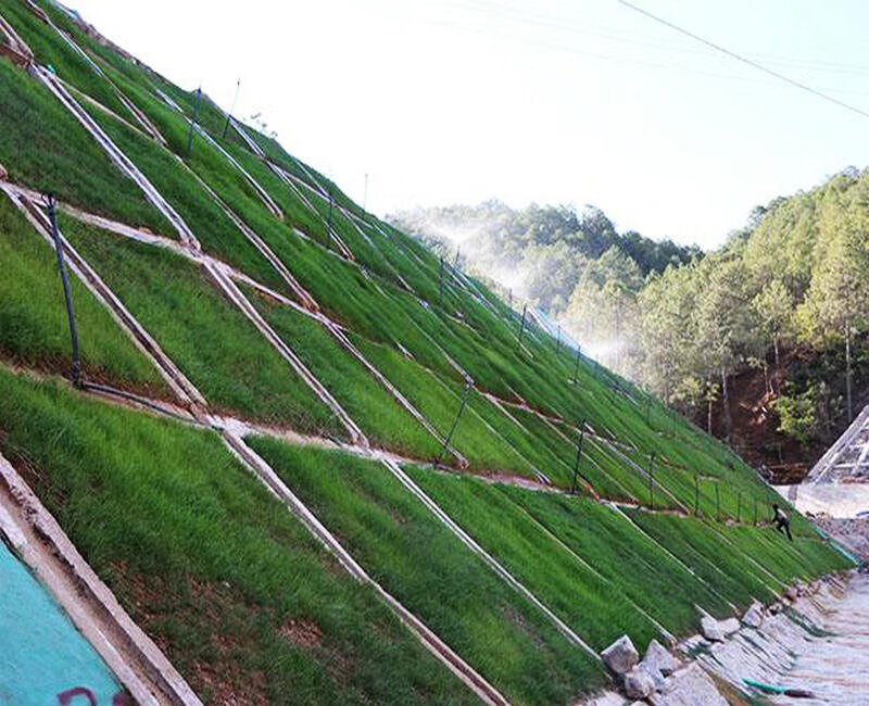 護坡灌木種子公路固土紫穗槐刺槐多花木蘭胡枝子小冠花葛藤復綠綠化