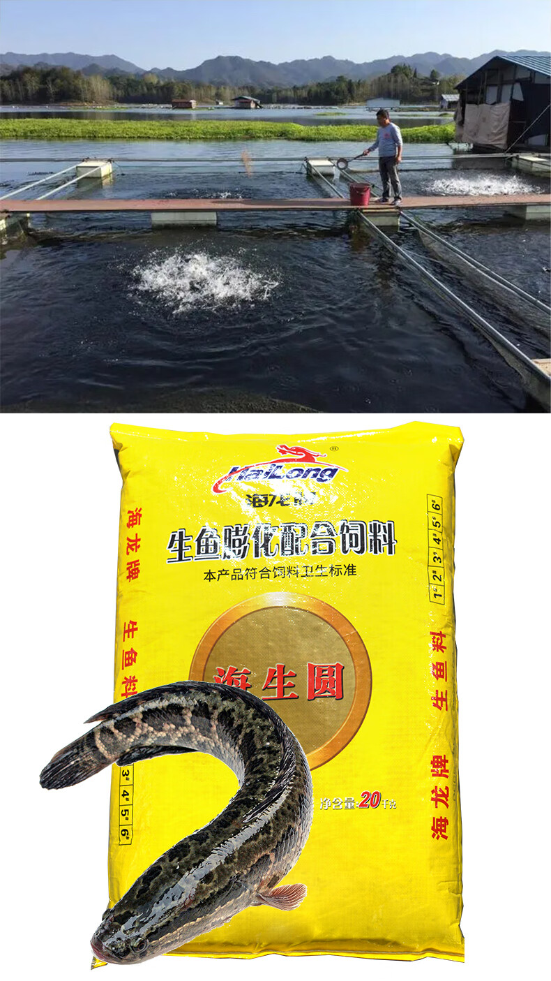 通威加州鲈鱼饲料通威鱼饲料大口黑花鲈鱼肉食性饲料48高蛋白 0.