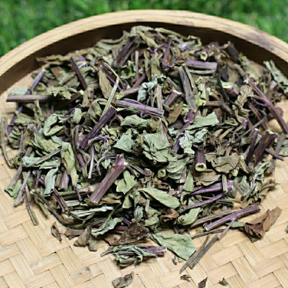 60啡晨猫须草中药材猫须草茶100g云南特产新鲜干货猫须草茶sn1346猫