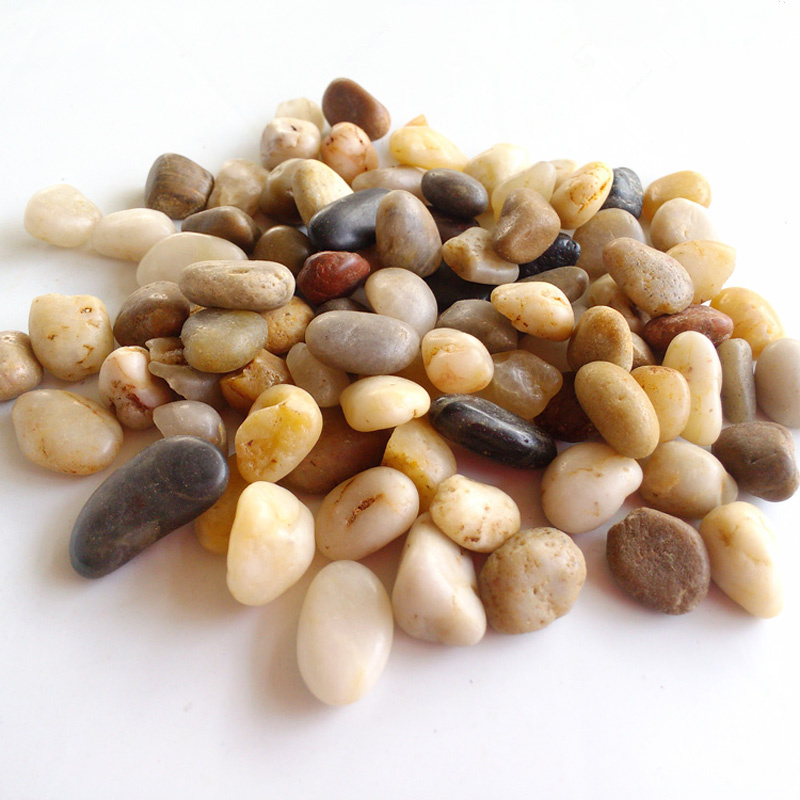 园艺小石头 抛光小鹅卵石雨花石 装饰石 水培石头 大号5斤价格