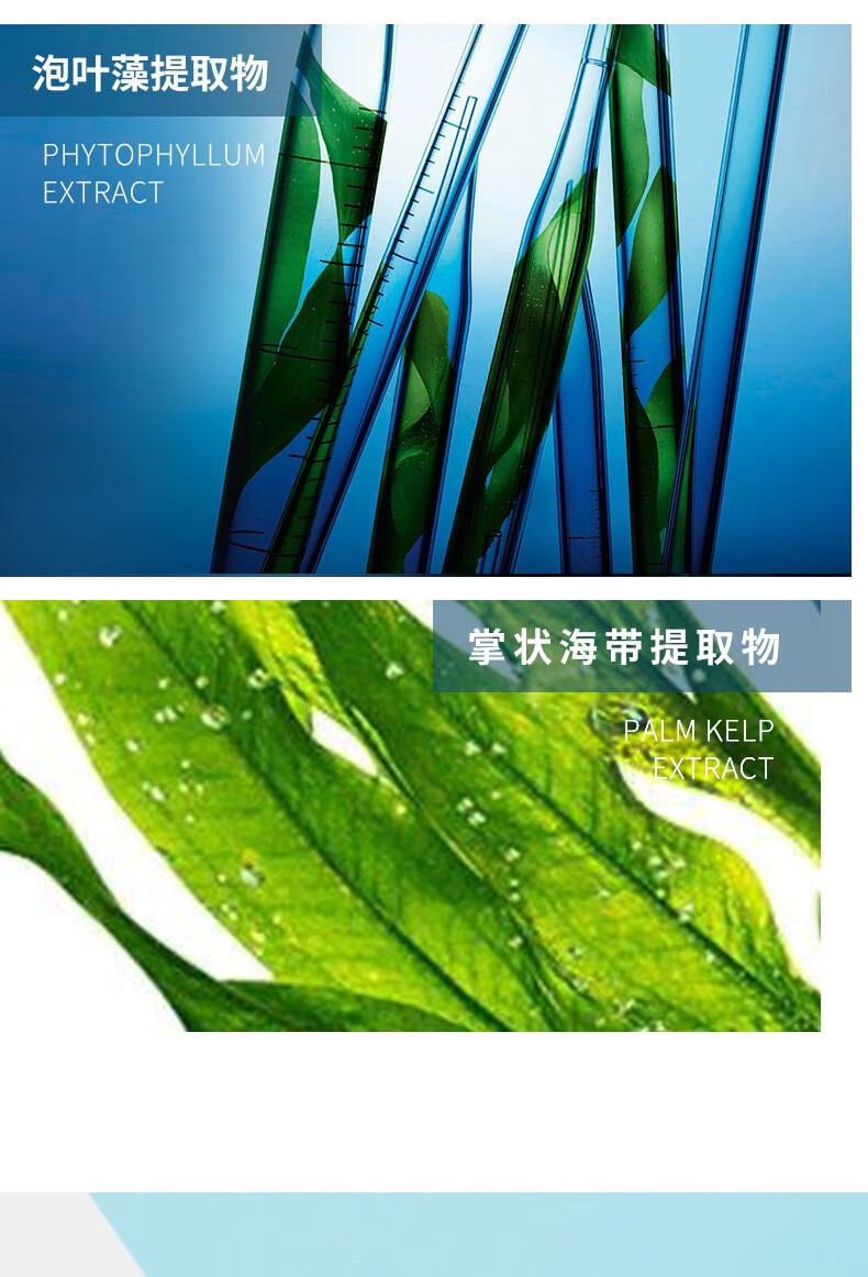 纽西之谜面膜南极冰藻清爽保湿面膜海藻泥紧致毛孔温和深层清洁补水