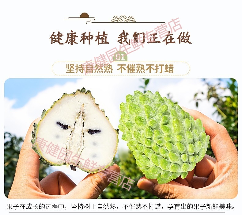 台湾凤梨释迦果 新鲜释迦水果番荔枝佛头果牛奶摩尼果 3斤大果 台湾
