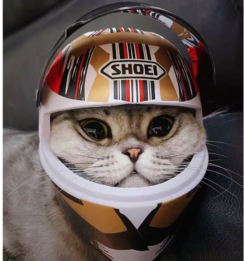 宠物摩托车头盔猫咪小狗专用小头盔帅气迷你猫咪专用机车安全小狗狗