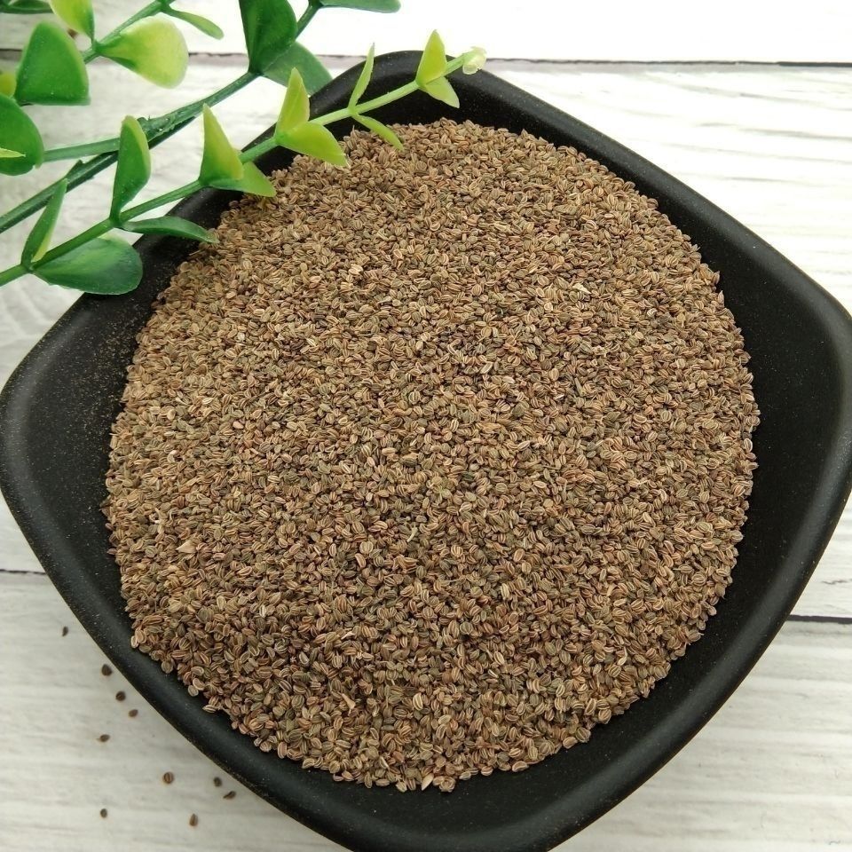 无农药芹菜种子一斤半斤芹菜子芹菜籽泡茶泡水做枕头芹菜种子无农药